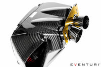 Eventuri Karbonové sportovní sání pro AUDI RS7 RS6 Plus 4,0 TFSI V8 - EVE-C7RS6-CF-INT