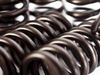 Ferrea ventilové pružiny a retainery 2.0TSI EA888 - Audi